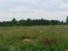 /photos/12966.jpg?w=640&h=480