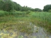 /photos/12969.jpg?w=640&h=480