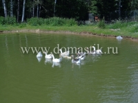 /photos/130884.jpg?w=640&h=480