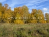 /photos/132390.jpg?w=640&h=480