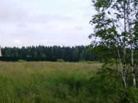 /photos/13299.jpg?w=640&h=480