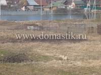 /photos/13305.jpg?w=640&h=480