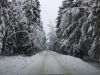 /photos/135241.jpg?w=640&h=480