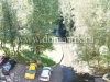 /photos/136207.jpg?w=640&h=480