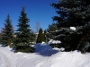 /photos/136672.jpg?w=640&h=480
