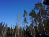 /photos/136696.jpg?w=640&h=480
