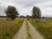 /photos/13708.jpg?w=640&h=480