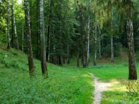 /photos/13843.jpg?w=640&h=480