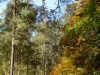 /photos/13844.jpg?w=640&h=480