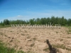/photos/138462.jpg?w=640&h=480