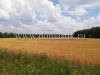 /photos/138467.jpg?w=640&h=480
