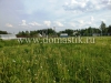 /photos/140535.jpg?w=640&h=480