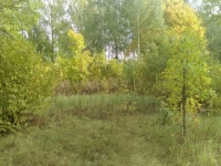/photos/140702.jpg?w=640&h=480