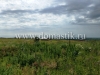 /photos/140708.jpg?w=640&h=480