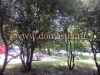 /photos/141184.jpg?w=640&h=480