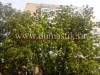 /photos/141186.jpg?w=640&h=480