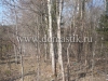 /photos/14132.jpg?w=640&h=480
