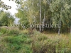 /photos/141538.jpg?w=640&h=480