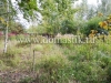 /photos/141539.jpg?w=640&h=480