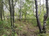 /photos/141541.jpg?w=640&h=480
