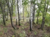 /photos/141543.jpg?w=640&h=480