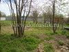/photos/141580.jpg?w=640&h=480