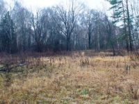 /photos/14164.jpg?w=640&h=480