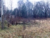 /photos/14165.jpg?w=640&h=480
