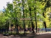 /photos/141926.jpg?w=640&h=480