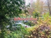 /photos/142098.jpg?w=640&h=480