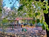 /photos/142109.jpg?w=640&h=480