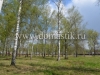 /photos/142170.jpg?w=640&h=480