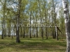 /photos/142176.jpg?w=640&h=480