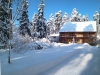 /photos/142383.jpg?w=640&h=480