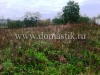 /photos/14469.jpg?w=640&h=480