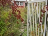 /photos/14738.jpg?w=640&h=480