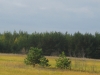 /photos/14751.jpg?w=640&h=480