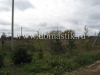 /photos/14903.jpg?w=640&h=480
