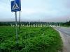 /photos/15272.jpg?w=640&h=480