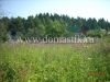 /photos/15373.jpg?w=640&h=480