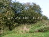 /photos/15393.jpg?w=640&h=480