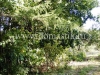/photos/15400.jpg?w=640&h=480