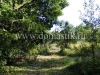 /photos/15401.jpg?w=640&h=480
