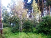 /photos/15407.jpg?w=640&h=480