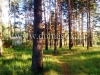 /photos/15408.jpg?w=640&h=480