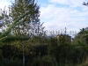 /photos/15507.jpg?w=640&h=480