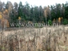 /photos/15603.jpg?w=640&h=480