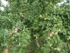 /photos/15608.jpg?w=640&h=480