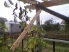 /photos/15609.jpg?w=640&h=480