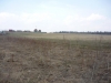 /photos/15695.jpg?w=640&h=480
